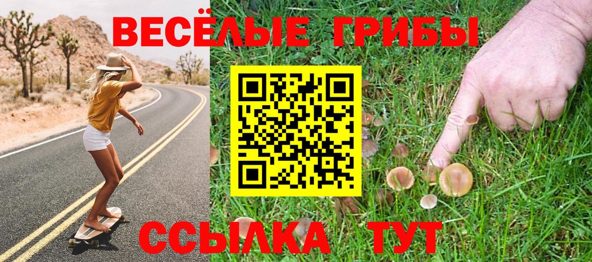 Галлюциногенные грибы MAGIC MUSHROOMS Пенза
